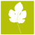 Cuturuzzula brown leaf logo